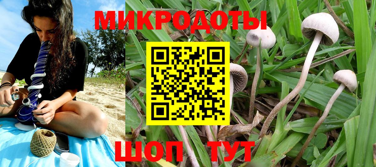 Псилоцибиновые грибы Psilocybine cubensis  Вход с VPN  Родники 