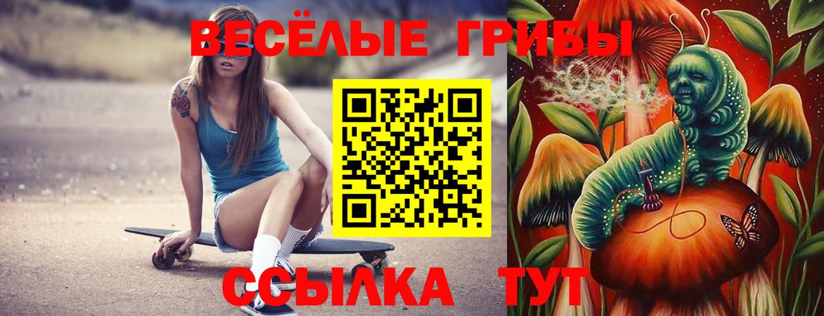 Галлюциногенные грибы GOLDEN TEACHER Родники